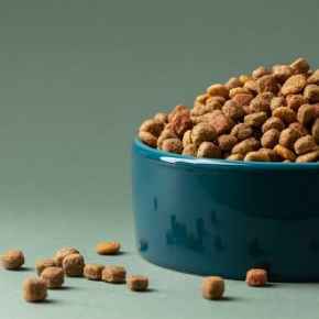 Picture for category Pet Food